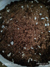 史丹利粗椰壳500g 砖椰砖营养土进口脱盐椰糠土兰花植料月季养花通用型 实拍图