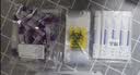 康华生物新冠检测试剂盒非核酸检测新冠抗原病毒家用快速检测试纸25人份 实拍图