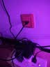 毕亚兹 六类网线 千兆高速宽带线 CAT6类家用电脑路由器5g网络工程监控线8芯成品跳线2.5g黑色2.5米 实拍图