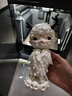 拓竹X2D 3D打印机器双头双喷嘴立体多色家用桌面FDM高速智能AI检测UL认证排放安全 X1C升级 X2D 单机【大陆版】 实拍图