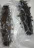 鲜京采大连即食海参 2斤12-16 只 礼盒固形物超75%【京东自有品牌】 实拍图