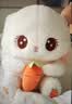 柒阁阁小兔子布娃娃毛绒玩具靠垫女孩公仔抱枕枕头情人节送女友生日礼物 萝卜兔[舒适面料，品质保证] 50厘米 实拍图