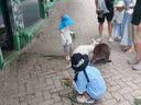 左西男童夏装套装2026新款儿童短袖套装夏季速干运动两件套 绿色  130 实拍图