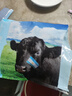 春禾秋牧 阿根廷安格斯原切上脑牛排净重1kg/5片牛肉生鲜烧烤健身夜宵 实拍图