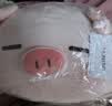 名创优品（MINISO）小猪B-BO弹力超柔趴姿公仔毛绒玩偶儿童玩具抱枕靠枕生日礼物女 实拍图