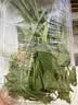 金丝甜心娃娃菜500g（3颗装） 实拍图