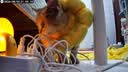 小米智能摄像机 3 3K家用云台摄像头500万像素室内监控器360度无死角带夜视手机远程婴儿宠物 实拍图