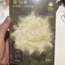 babycare爆款山茶花一次性内裤女士孕妇XXL码30条【 安全灭菌】 实拍图