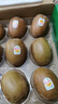 佳沛（zespri）新西兰 阳光金奇异果12粒特大果单果124-146g 猕猴桃水果礼盒 实拍图