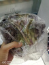 绿食者 甜杆西兰苔 新鲜蔬菜芦笋西兰花时令蔬菜清甜脆嫩西餐食材 500g 实拍图