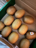 佳沛（zespri）新西兰 阳光金奇异果12粒特大果单果124-146g 猕猴桃水果礼盒 实拍图