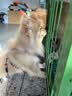 宝路狗粮 泰迪田园犬狗粮 中小型犬 狗主粮烘焙粮通用狗干粮 中小型犬鸡肉蔬菜口味7.5kg 实拍图