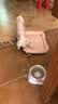 FAIRY PET狗窝防水四季通用牛津布猫窝春夏季狗垫子中大型犬狗床小狗狗窝 浅粉色 M（50*38*9cm）【建议10斤内】 实拍图