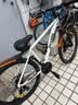 喜德盛（xds）山地自行车26款旭日310运动健身学生青少年成人骑行变速轻便单车 26款旭日310象牙白17寸 实拍图
