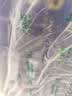 维达（Vinda）无芯卷纸 超韧4层128克*18卷 加厚升级 卫生纸厕纸 卷筒纸纸巾 实拍图