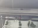 司选自动门感应器探头电动玻璃微波传感器24G加强雷达感应探头通用型 实拍图