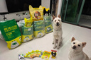 疯狂小狗狗粮 中大型幼犬成犬 鸡肉燕麦呵护肠胃通用粮2kg/4斤 实拍图