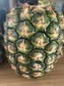 佳农 菲律宾黑钻甜心菠萝1.1kg 实拍图