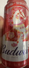 百威【哈宝同款】世界杯礼盒版啤酒【40周年限定】500ML*12中秋送礼 实拍图