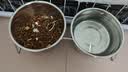 HELLOJOY狗厕所中型小型犬专用防踩屎便盆尿尿盆非不锈钢大小便神器狗砂盆 实拍图