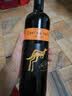 黄尾袋鼠（Yellow Tail）缤纷系列 梅洛 半干型 红葡萄酒 750ml*6瓶 智利进口 实拍图