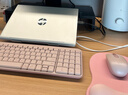 罗技（Logitech）MK251无线蓝牙键盘鼠标套装 办公商务笔记本电脑 数字键盘99键粉色键鼠套装（K251键盘+M196鼠标） 实拍图