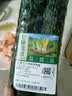 长黄瓜约600g 实拍图