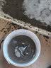 Allgll防水抗裂砂浆墙面补洞门窗填缝快干高强度修复材料贴瓷砖堵漏水泥 实拍图