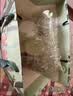 BOJIDOJI幸运兔子玩偶儿童毛绒玩具陪睡娃娃礼盒公仔女孩女童生日礼物女生 doji四叶草幸运兔+高端礼盒礼袋 约34-36厘米 实拍图