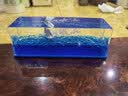 TaTanice 游轮流体漂流瓶摆件 帆船桌面摆件生日礼物减压装饰 乘风破浪 实拍图