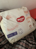好奇（Huggies）软萌星人柯基裤拉拉裤XXXXL22片(20kg以上)尿不湿【软糯贴贴】 实拍图