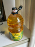 西王 食用油 玉米胚芽油 5L 非转基因物理压榨（新老包装交替发货） 实拍图