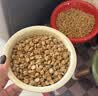 弗列加特0乳糖鲜肉烘焙猫粮  成猫粮幼猫粮老年猫粮0压乳主食猫粮宠物食品 【幼猫】鸡肉味1.5kg 实拍图