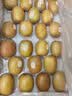 佳沛（zespri）新西兰阳光金奇异果巨大果22粒原箱单果146-175g 猕猴桃水果礼盒 实拍图