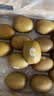 佳沛（zespri）新西兰阳光金奇异果巨大果22粒原箱单果146-175g 猕猴桃水果礼盒 实拍图