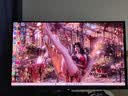AOC 27英寸4K165Hz Gen.3五层堆叠QD-OLED 第五代BlackAGLR涂层 抗反射抗眩光更黑 电竞显示器U27G4D 实拍图