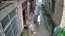 防术太阳能室外监控摄像头360无死角带夜视黑光4g终身免流量无需连wifi无电无网高清手机远程户外 实拍图