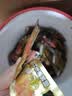 三只松鼠辣卤财亿满满财气礼1752g/桶/约211包 肉食卤味零食团购送礼 实拍图