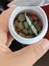 鱼多趣贴片鱼食小型鱼饲料孔雀鱼鱼粮50g灯鱼斗鱼金鱼热带鱼通用 实拍图
