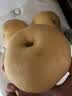 京觅山东丰水梨  净重4.5斤单果300g+ 新鲜水果源头直发包邮 实拍图