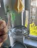 青苹果泡茶杯带盖 无铅玻璃把手水杯玻璃杯商务会议家用350ML两只装 实拍图