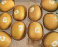 佳沛（zespri）新西兰阳光金奇异果10粒巨大果单果146-175g 猕猴桃水果礼盒 实拍图