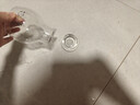 拜杰啤酒杯玻璃杯精酿小麦果汁杯饮料杯冷饮杯原创可爱猫狗扎啤杯酒杯 实拍图