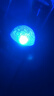 【新人专享1分】爆款北极光投影灯台灯星空灯卧室浪漫情调房间极光氛围暖光灯睡眠礼物卧室投影灯 【新人专享1分】极光16色氛围灯（基础非遥控款） 实拍图