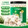 十月稻田 莲子 400g 湘潭产去芯磨皮白莲子 桂圆百合银耳羹煲汤食材 实拍图