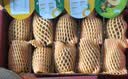佳沛（zespri）绿奇异果10个装 宝宝果单果约80-89g 水果猕猴桃包邮 实拍图