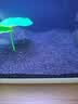 派乐特黑金沙黑沙子金刚砂鱼缸造景底砂水族箱底沙观赏鱼水草砂5斤 实拍图