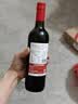 达颜无醇葡萄酒原瓶进口脱醇红酒0度零无酒精应酬挡酒婚宴单支750ml 实拍图