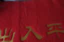 迪茵（DIYIN）出入平安门垫元宝60*90cm 入户门地垫门口脚垫丝圈迎宾防滑垫 实拍图