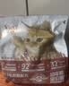 亿迪 猫粮幼猫1-4月12月全价奶糕蓝猫英短美短小猫专用离乳期3斤 实拍图